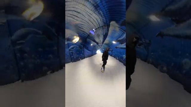 Катать 🗻 #snowboarding #snowboard #горы #сноуборд #сочи смотреть онлайн