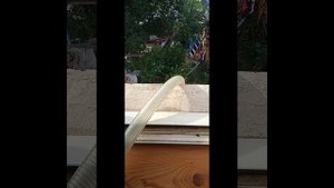 Какой насос для абиссинки лучше