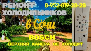 Холодильник BOSCH не работает верхняя камера