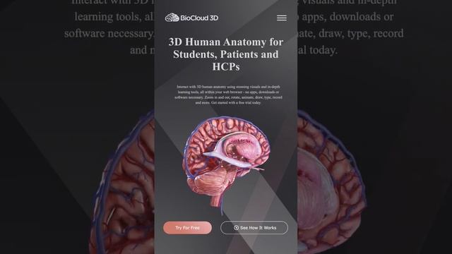 BioCloud 3D allows interactive 3D anatomy website embedding with a transparent background!