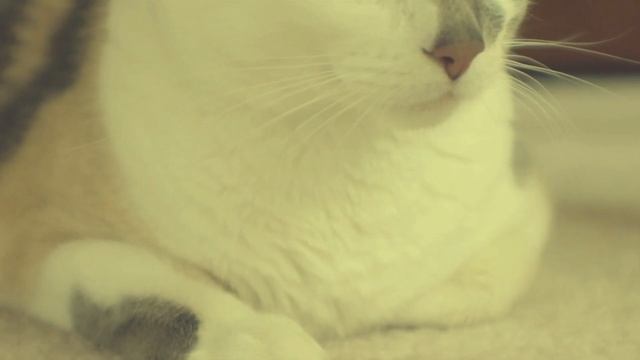Клинический психолог рассказывает о том, что такое Гиперопека и как с этим жить.