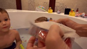 В огромной ванной Животные и водяные бомбочки Макс и Катя