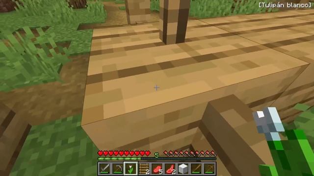 Paso Minecraft pero Mi EXPERIENCIA es Mi TAMAÑO смотреть онлайн