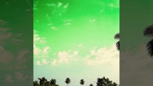 Podcast #76 (Progressive Trance, Indian Psy Trance) October, 2024