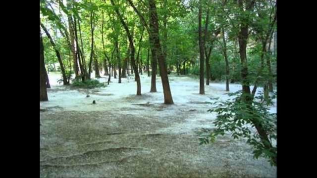 Песня рождённая в СССР.424# "Тополя,тополя"
