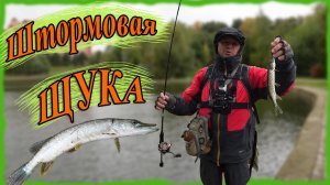 Штормовая щука. Микроджиг на городских прудах