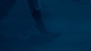 Star Wars Rise of the Skywalker MMV -  Sugaan Essena (Jedi Fallen Order Epic badass Music) - The HU