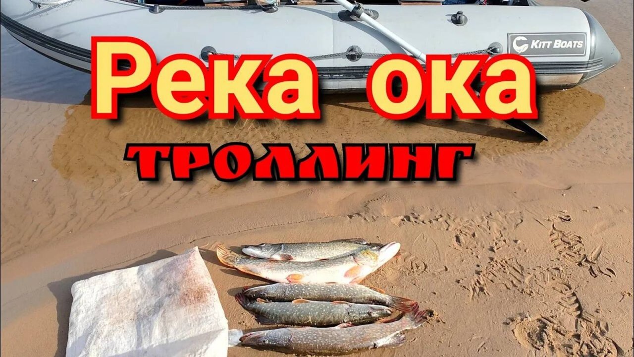 Осенний выход щуки.Троллинг в два спиннинга на ОКЕ