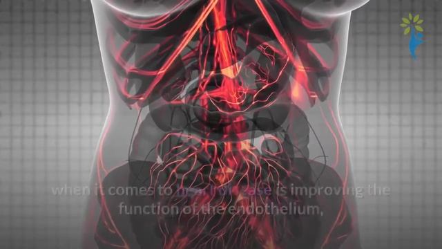 10 Proven Health Benefits of Turmeric and Curcumin смотреть онлайн