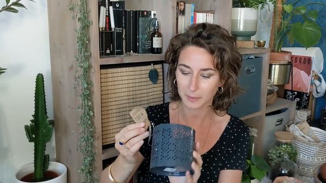 HAUL PLANTES Jardinerie : 6 ACHATS dont 1 plante de ma WISH LIST ! 💚 смотреть онлайн