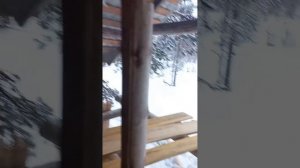 Как правильно пропилить бревно вдоль