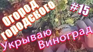 11 ноября 2018