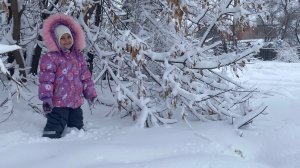 Благовещенск засыпало снегом. Режим ЧС. Пробираемся через сугробы