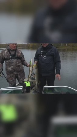 ЩУЧИЙ ДУПЛЕТ! #norstream #рыбалка #fishing #спиннинг