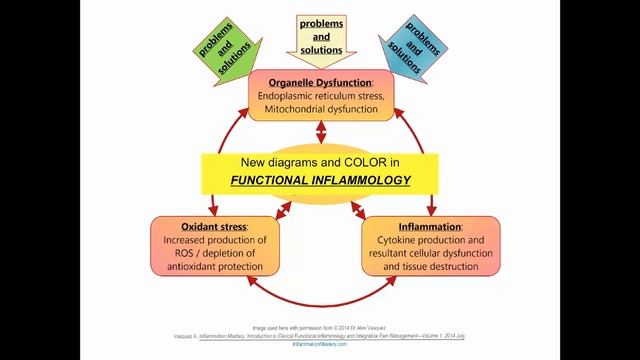 Dr. Alex Vasquez- How GMO Foods Trash Your Mitochondria and Metabolism смотреть онлайн