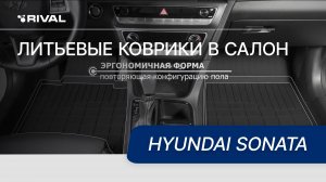 Автомобильные коврики салона для Hyundai Sonata