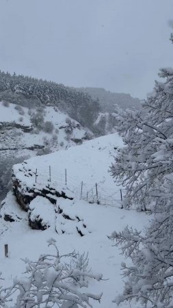 Невероятно! В Кисловодске снегопад второй день