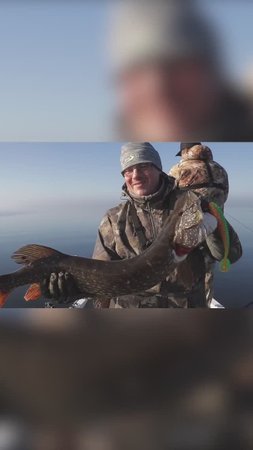 БИГБЕЙТ В ДЕЛЕ!  #norstream #fishing #рыбалка #спиннинг