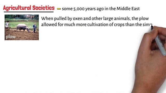 Different Types of Societies смотреть онлайн