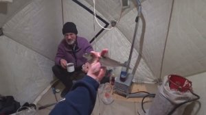 Рыбалка на Рипуса по перволёдью 27.11.24 В ПАЛАТКЕ ЗИМОЙ _ ПОКЛЁВКА за ПОКЛЁВКОЙ всю НОЧЬ!!!
