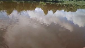 Даровской район Кировской области река МОЛОМА