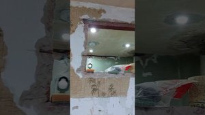 Кабель ввг 3x10