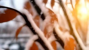 Удивительные истории из жизни - Искусство безумной любви...