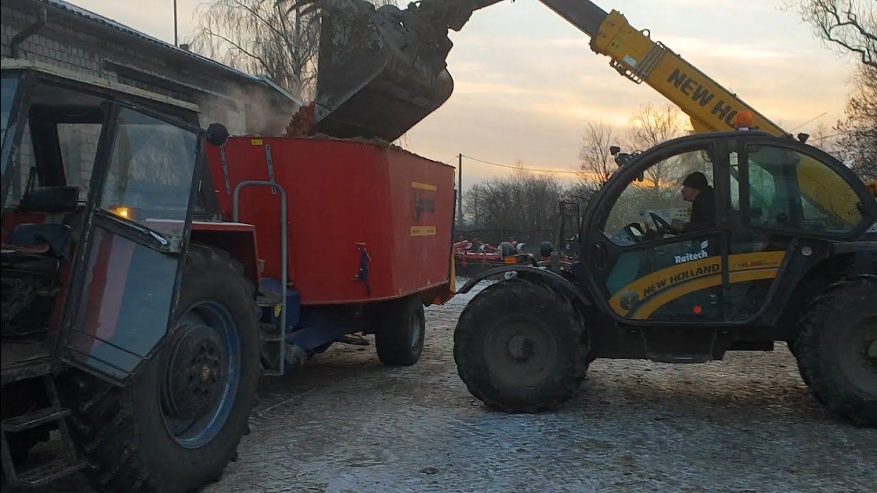 РОБОТА В ПОЛЬЩІ. Ферма. ГОДУВАННЯ КОРІВ. Раціон. смотреть онлайн