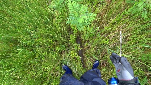 Осений выход на сазана(охота с рогаткой) смотреть онлайн