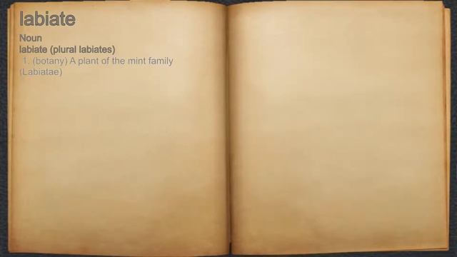 What does labiate mean? смотреть онлайн