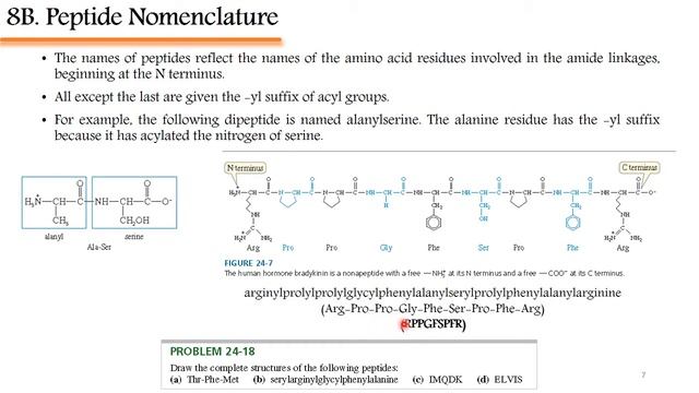 Amino Acids, Peptides, and Proteins_Lecture 4