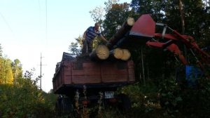 Погрузка Леса Длинномером Трактор ЛТЗ-60АВ .