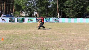 Сдача кёрунга 2015 Томск