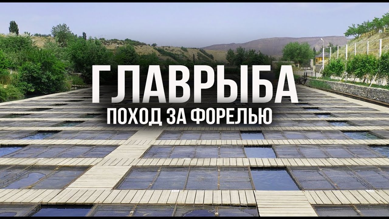 🇷🇺 ДАГЕСТАН. Форелевое хозяйство ГЛАВРЫБА 🇷🇺