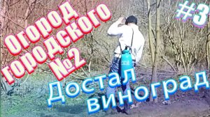 16е апреля 2019