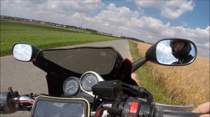 Yamaha FZS 600 Fazer Exhaust Sound Leo Vince