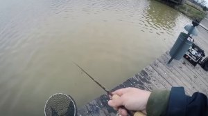Ловля форели в мутной воде | Cтрейч силикон, ловля форели на резину