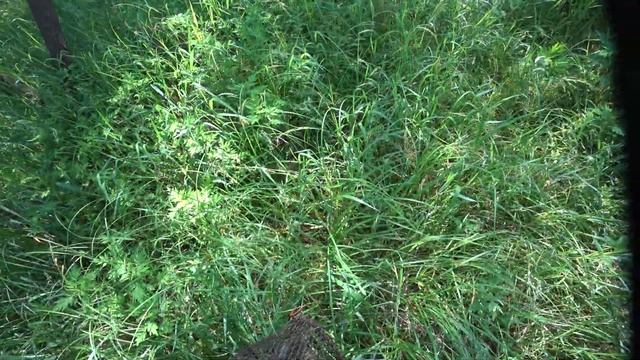 охота с рогаткой в июне смотреть онлайн