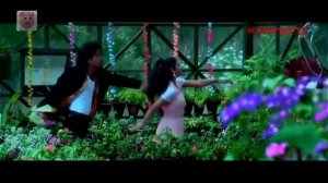 Песни индийского кино. Вместе навсегда / Hameshaa - Dil Tujhpe Fida