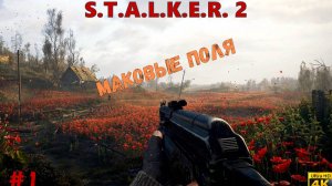 S.T.A.L.K.E.R. 2 / Прохождение #1
