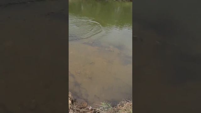 13 сентября 2022 г. смотреть онлайн