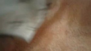 Пакетик мир юрского периода 2 с динозавриком🐊 2 часть