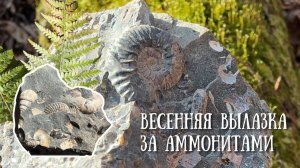 Весенняя вылазка за аммонитами! Сезон 2024.
Серия 1.