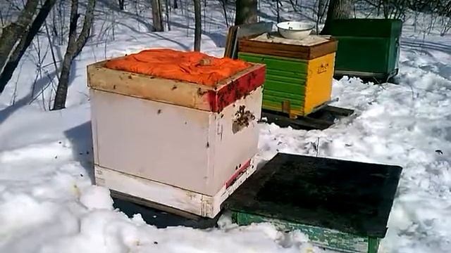 Пчеловодпасека.ру