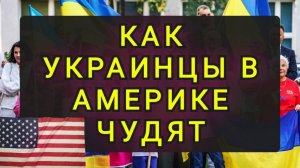 КАК УКРАИНЦЫ В АМЕРИКЕ ЧУДЯТ