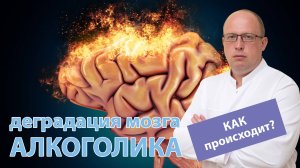 ? Как происходит деградация мозга алкоголика? ?