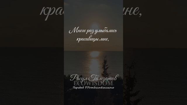 Расул Гамзатов - О любви (перевод Р.Рождественского) #ecowisdom #поэзия #красивыестихи