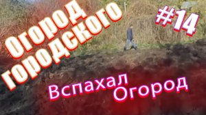 14е октября и 3 ноября 2018