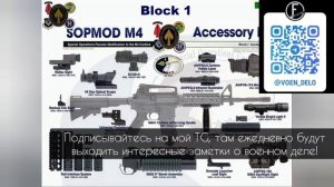 Причины популярности AR-15 в России. История, особенности, плюсы и минусы