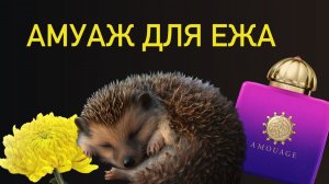 Myths Woman Amouage: сны маленьких животных средней полосы. Обзор аромата.